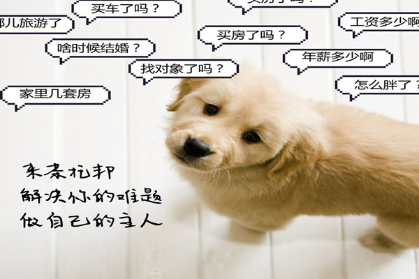 茶托邦,解决你的难题