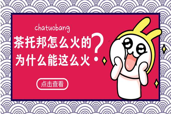 【揭秘】茶托邦到底是怎么火起来的?为什么能这么火?