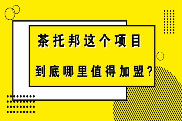 茶托邦这个项目到底哪里值得加盟?
