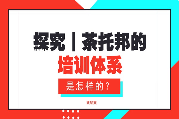 探究|茶托邦的培训体系是怎样的?