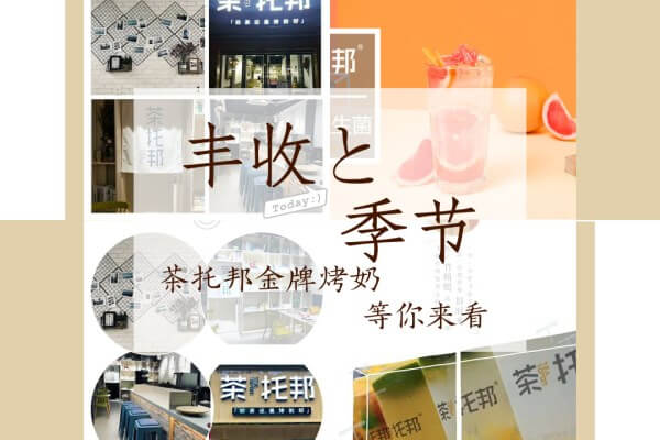 秋季奶茶店生意好吗？茶托邦用数据告诉你生意好不好！