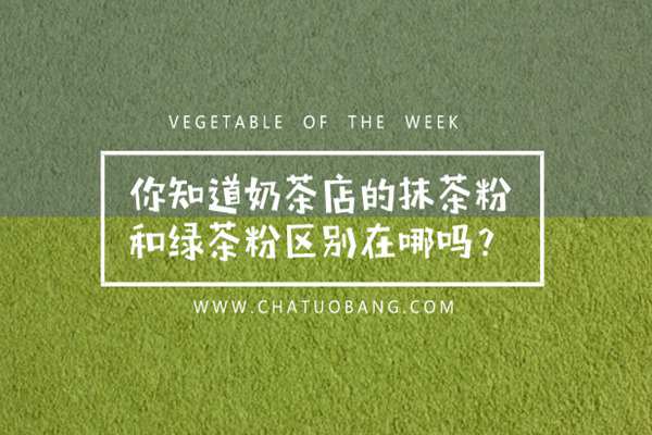 【茶托邦小课堂】你知道奶茶店的抹茶粉和绿茶粉区别在哪吗?