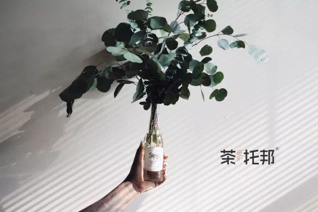 2018年1月5日-10日，茶托邦店铺开业&双重优惠活动